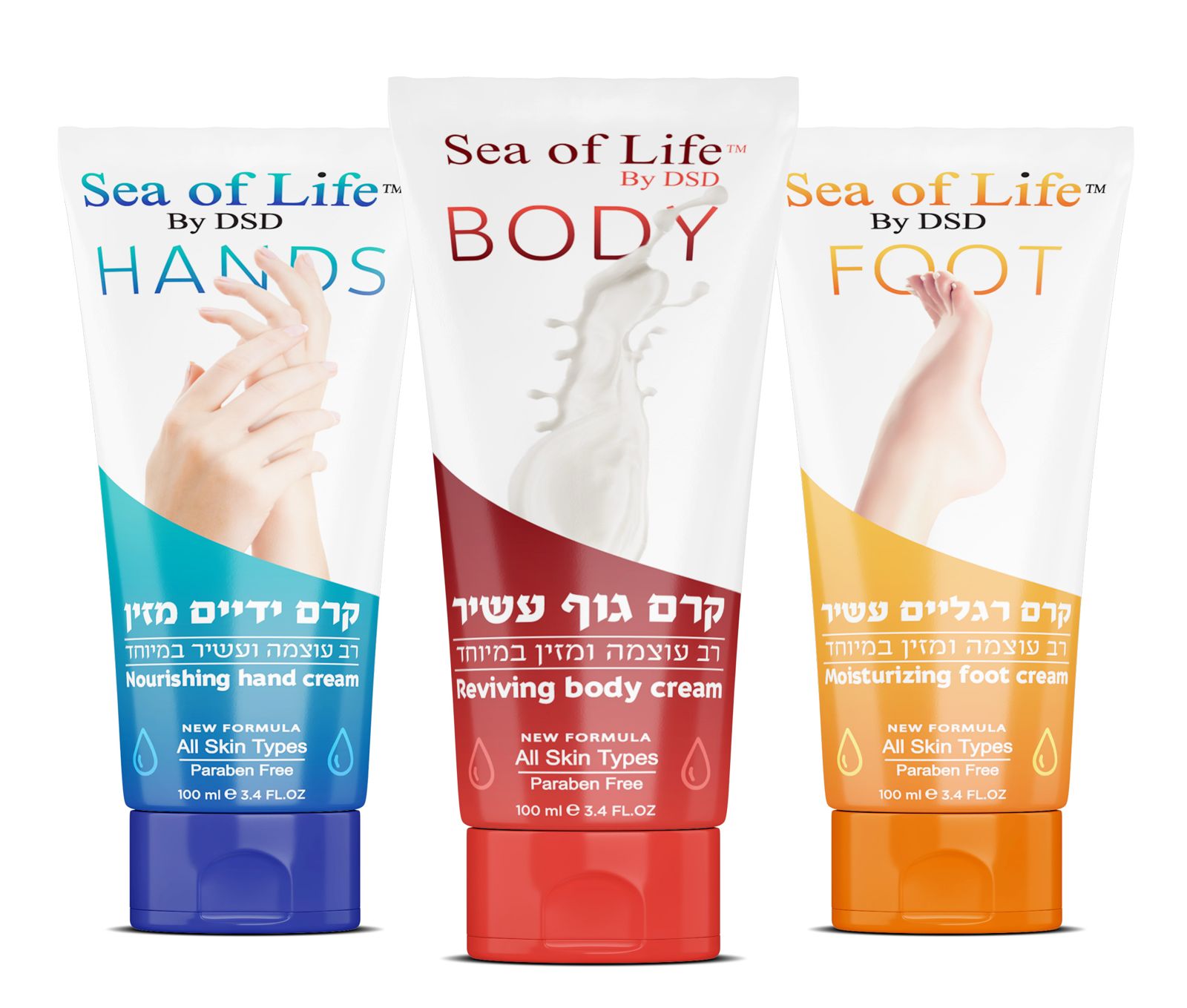 שלישיית Flowers - Sea of Life ים המלח